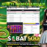 BUKTI JACKPOT SLOT STARLIGHT PRINCESS SUPER SCATTER TERPERCAYA DI INDONESIA TGL 20-02-2026